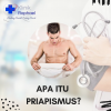 priapismus