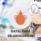 kutu kemaluan