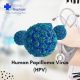 human-papilloma-virus