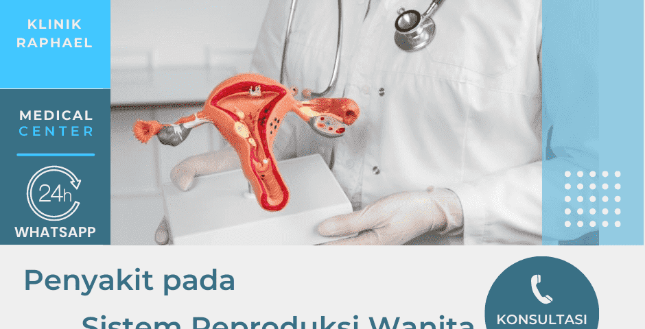 masalah sistem reproduksi wanita