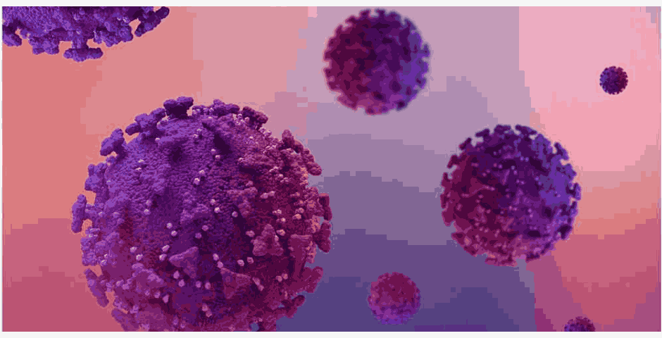 hpv menyebkan kutil kelamin