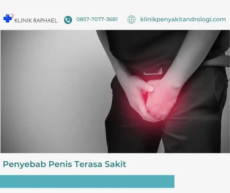 penyebab-penis-sakit